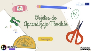 Flexible Learning Objectives